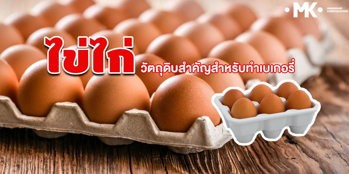 ไข่ไก่ วัตถุดิบสำคัญสำหรับทำ เบเกอรี่ ( Bakery )